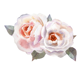 Beautiful tender pink roses for wedding invitations, greeting cards, photos and more. Hand drawn watercolor - 244694577