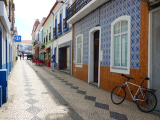 Fototapeta na wymiar Portugal. Reguengos de Monsaraz. Alentejo