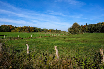 Naturnahe Weiden im Herbst © Peter Eggermann