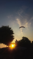 Silhouette of a paragliding man above the trees in the sky at sunset