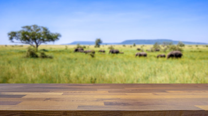 Empty table top for product display montage. Safari in Tanzania, elephants crosses the savannah blurred in the background.