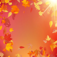 Naklejka na ściany i meble Autumn template layout decorate with leaves. EPS 10