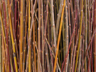 A lot of willow twigs - raw material for basket weaving