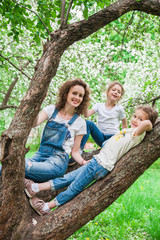 Naklejka na ściany i meble The family sits in a tree in blooming apple blossom garden.