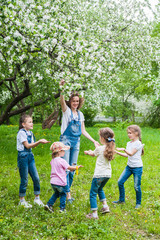 Obraz premium Woman and four little girls playing in blooming apple blossom garden. Family concept