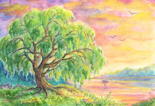 Willow Tree Near Water - Landscape Painting