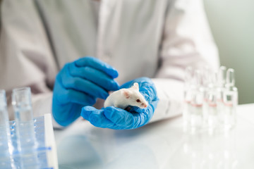 testing drugs and vaccine on mice