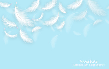 Fototapeta na wymiar Feathers background Vector realistic. White feathers on blue card templates