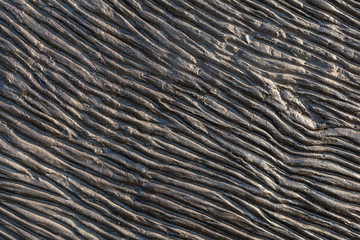 Abstract drak striped texture background. Wooden backdrop with stripes , lines, curves and bars
