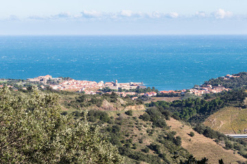 Fototapeta na wymiar Panorama sur Collioure