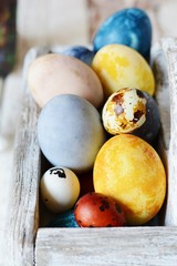 Colored Easter eggs in a wooden basket on a white background. Happy easter. Easter decoration.