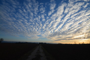 Obraz premium El campo listo para la siembra, Francia