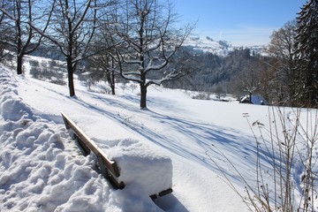 Winter_Bank