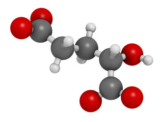 2-hydroxyglutarate molecule. 3D rendering. Atoms are represented as spheres with conventional color coding: hydrogen (white), carbon (grey), oxygen (red).