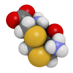 Djenkolic acid molecule. Toxic amino acid found in djenkol beans. 3D rendering. Atoms are represented as spheres with conventional color coding: hydrogen (white), carbon (grey), oxygen (red), etc