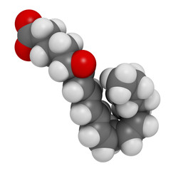 leukotriene A4 (LTA4) molecule. 3D rendering. Atoms are represented as spheres with conventional color coding: hydrogen (white), carbon (grey), oxygen (red).