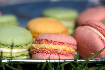 French cake macaron or macaroon at picnic outdoors. Colorful cookies made from almond flour in pastel colors. 