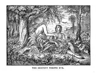Adam & Eve 