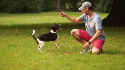 Close portrait of a man playing with a dog, throwing a stick. Summer picnic in the park with a pet