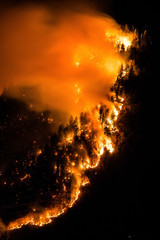 Fototapeta na wymiar Forest on fire