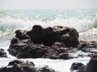 Obraz premium OLYMPUS DIGITAL CAMERA