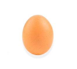 egg on white background