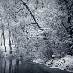 Fototapeta na wymiar fabulous winter in the forest with snow