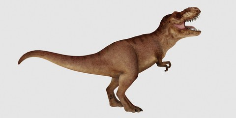 Extremely detailed and realistic high resolution 3d illustration of a T-Rex Dinosaur isolated on white Background