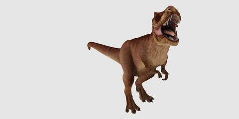 Extremely detailed and realistic high resolution 3d illustration of a T-Rex Dinosaur isolated on white Background © Sasa Kadrijevic