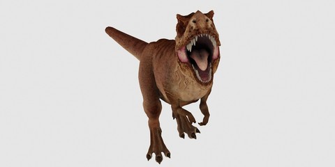 Extremely detailed and realistic high resolution 3d illustration of a T-Rex Dinosaur isolated on white Background © Sasa Kadrijevic