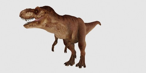 Extremely detailed and realistic high resolution 3d illustration of a T-Rex Dinosaur isolated on white Background © Sasa Kadrijevic