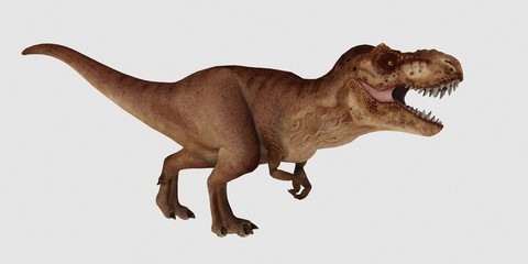 Extremely detailed and realistic high resolution 3d illustration of a T-Rex Dinosaur isolated on white Background © Sasa Kadrijevic
