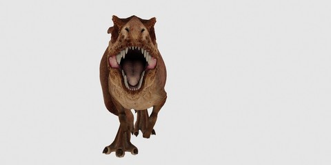 Extremely detailed and realistic high resolution 3d illustration of a T-Rex Dinosaur isolated on white Background © Sasa Kadrijevic