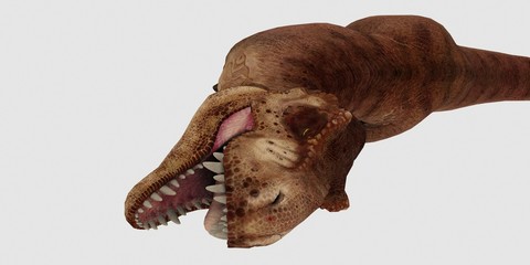 Extremely detailed and realistic high resolution 3d illustration of a T-Rex Dinosaur isolated on white Background