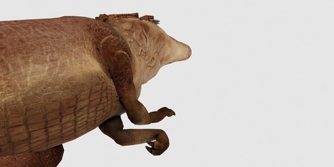 Extremely detailed and realistic high resolution 3d illustration of a T-Rex Dinosaur isolated on white Background