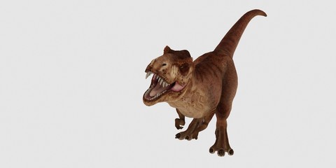 Extremely detailed and realistic high resolution 3d illustration of a T-Rex Dinosaur isolated on white Background © Sasa Kadrijevic