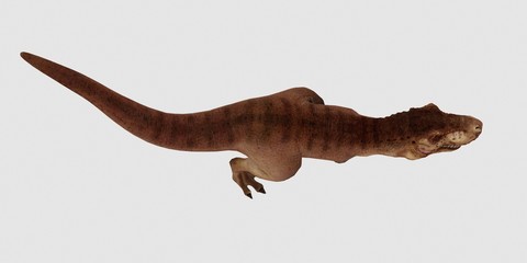 Extremely detailed and realistic high resolution 3d illustration of a T-Rex Dinosaur isolated on white Background