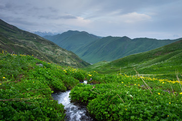 Landscape Mountain stream in highlands of Caucasus, Svaneti. Nature of mountains in Georgia.