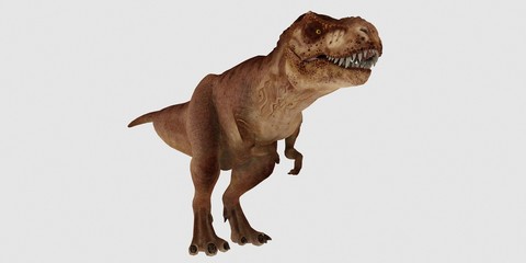 Extremely detailed and realistic high resolution 3d illustration of a T-Rex Dinosaur isolated on white Background © Sasa Kadrijevic