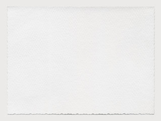 Sheet of paper with a wavy edges. Highly detailed, isolated on gray
