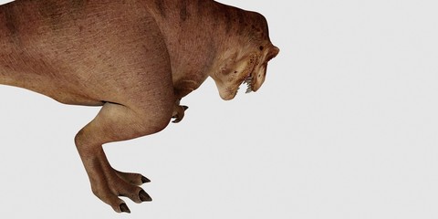 Extremely detailed and realistic high resolution 3d illustration of a T-Rex Dinosaur isolated on white Background