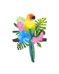 tropical bird composition
