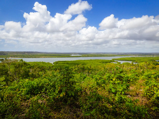 View of the island from a hiking path near Vila Velha - Itamaraca Island, Brazil
