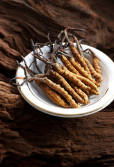 Ingredient used in Traditional Chinese Medicine isolated on white background - Cordyceps sinensis (caterpillar fungus)