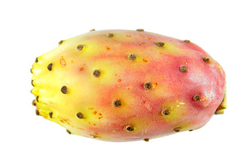 Prickly pear fruit isolated on white background