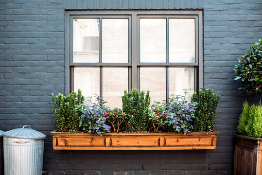 Beautiful windows with flowers on a black facade house