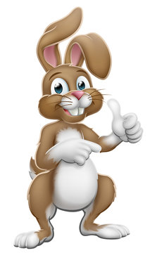 Easter bunny rabbit cartoon character giving a thumbs up and pointing