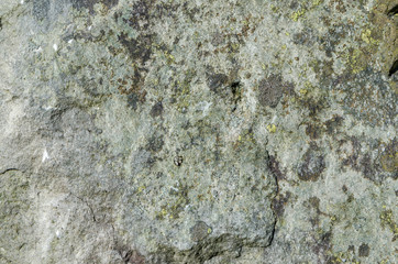 stone texture of nature