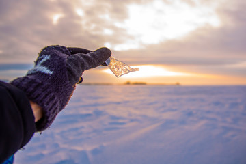 in the hand of an ice floe and in the background Sunset on the Neva Bay in winter
