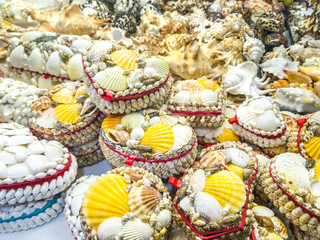 Sea shells for sale in a souvenir shop